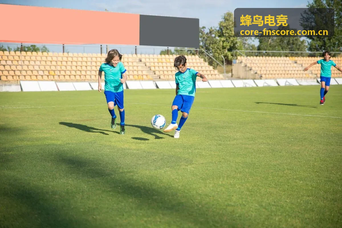 蜂鸟电竞装备选取率与胜率关系分析图
